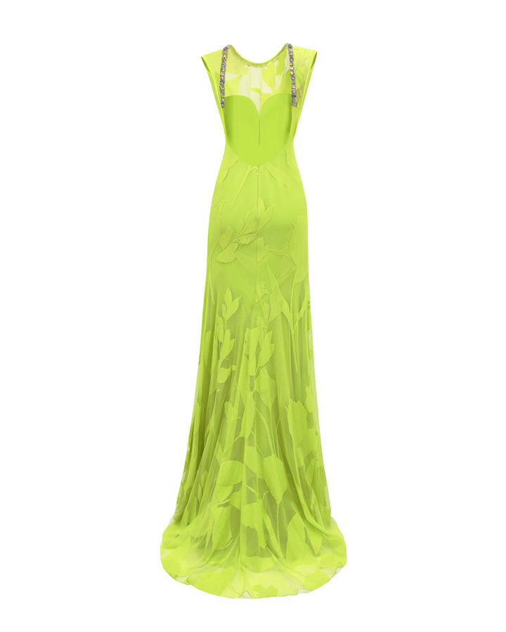 The back of a long patterned lace fabric lime evening dress. It features beads lining the open back.