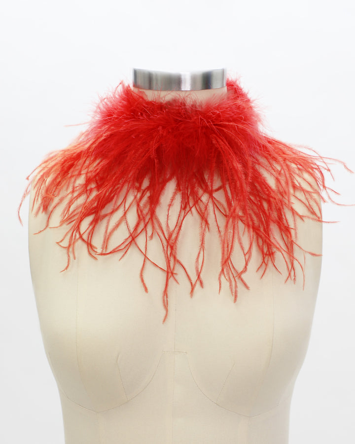 Red Feather Collar